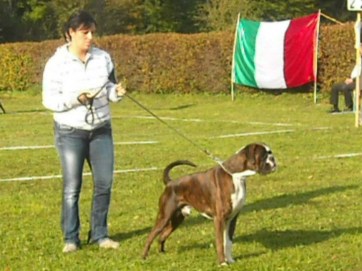  Jahressieger 2012 Svizzera